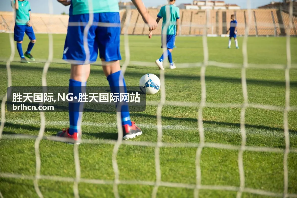 胜天国际服务指南横幅图