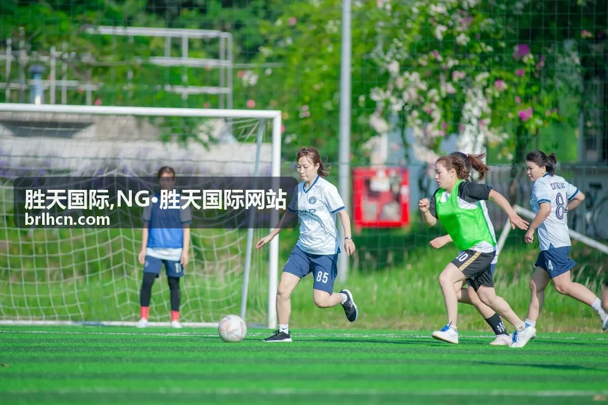 NG·胜天国际品牌信息